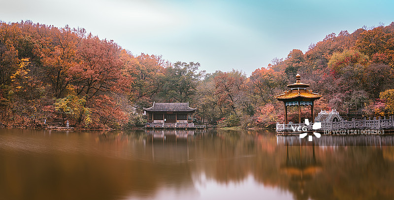 秋天红叶图片素材