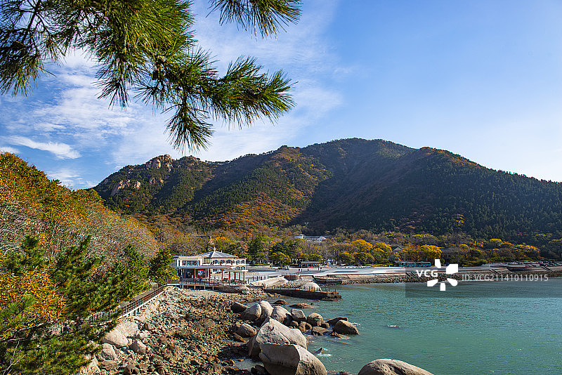 崂山太清宫秋色图片素材