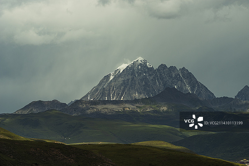 亚拉雪山莲花开图片素材
