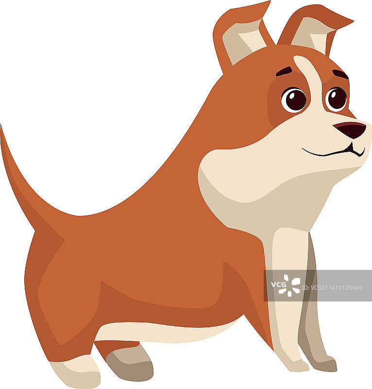 可爱的小狗图片素材