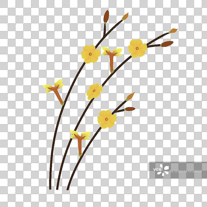扁平风格迎春花免扣素材图片素材