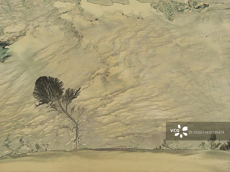 滩涂 古画 大地之树图片素材