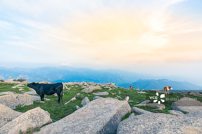 中国河北省张家口冰山梁自然风光图片素材