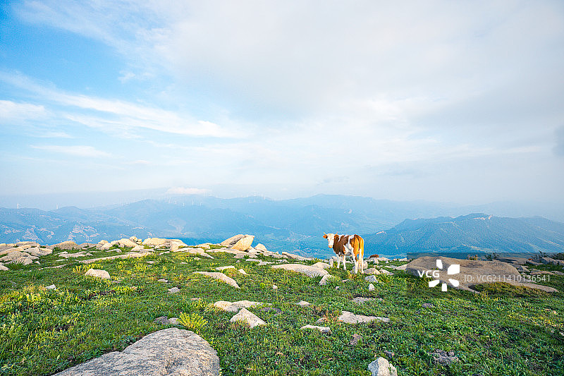 中国河北省张家口冰山梁自然风光图片素材