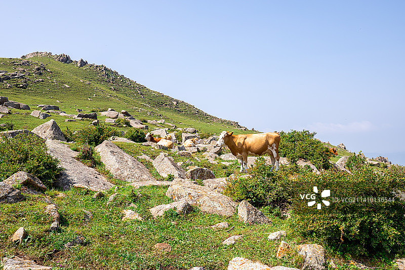 中国河北省张家口冰山梁自然风光图片素材
