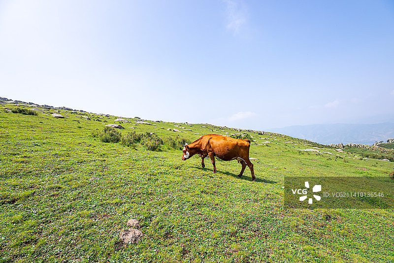 中国河北省张家口冰山梁自然风光图片素材