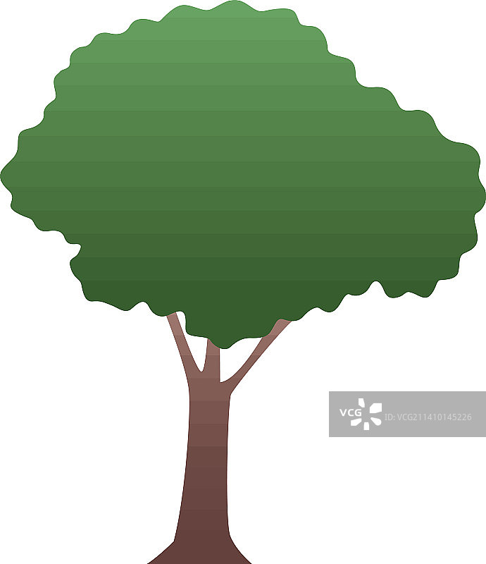 绿色树木植物森林图片素材