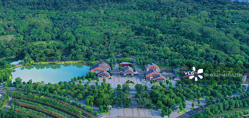 广西南宁：绿满青秀山图片素材