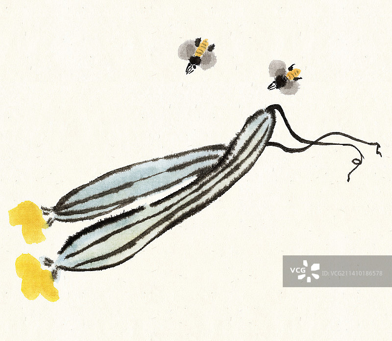 刚摘下来带花的丝瓜吸引蜜蜂采蜜图片素材