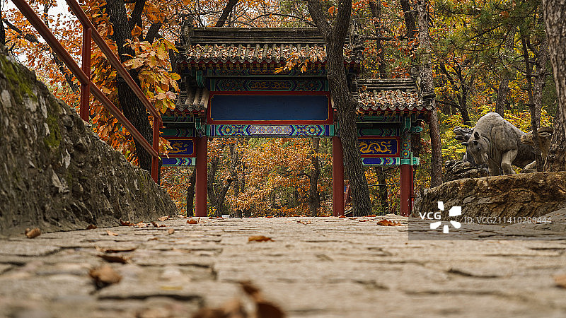 秋季红螺寺图片素材