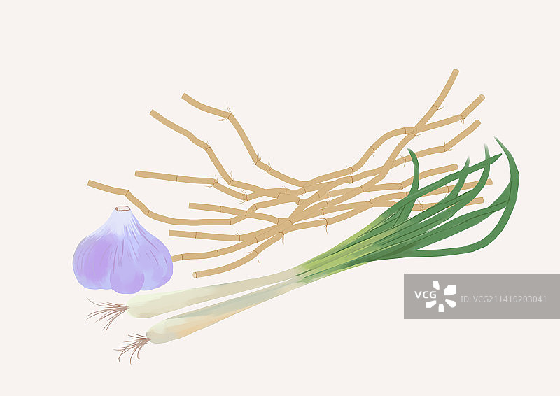 传统食物食材大蒜坨小葱鱼腥草折耳根元素插画插画图片素材