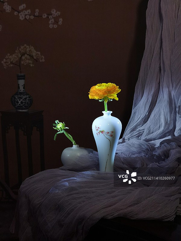 玫瑰花图片素材