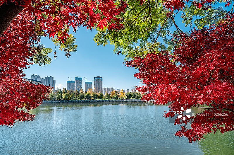 昆明秋景图片素材