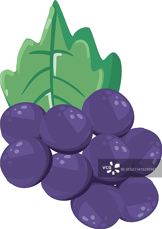 扁平风格葡萄设计图片素材