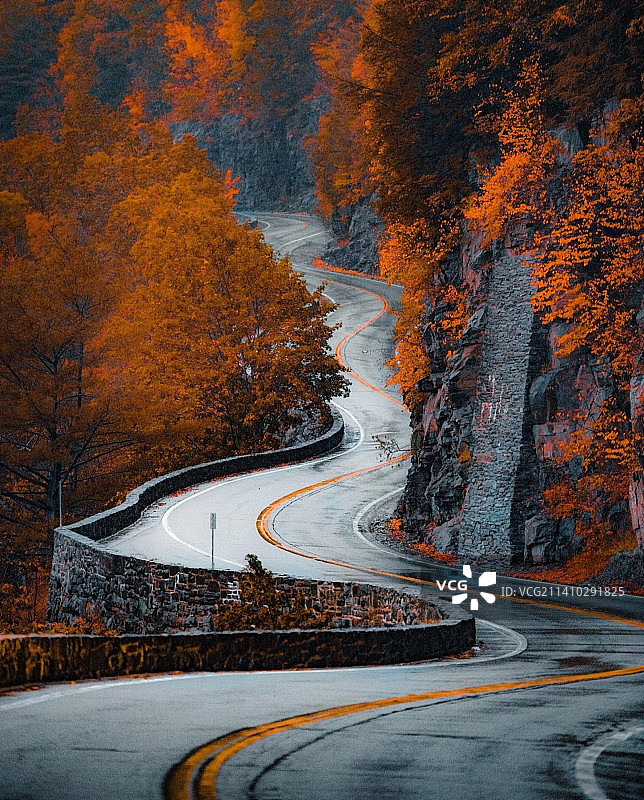 秋季树木中的道路高角度景观图片素材