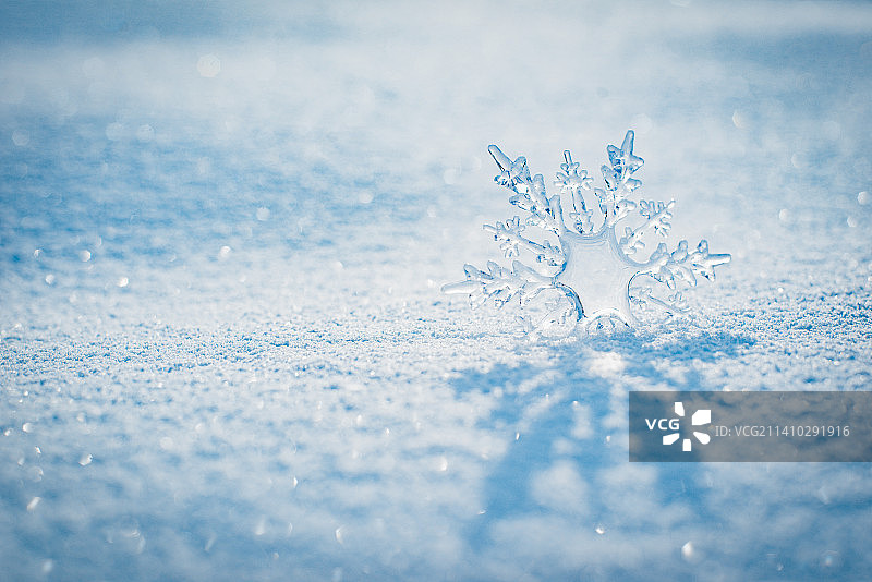 阳光下闪闪发光的冰晶图片素材