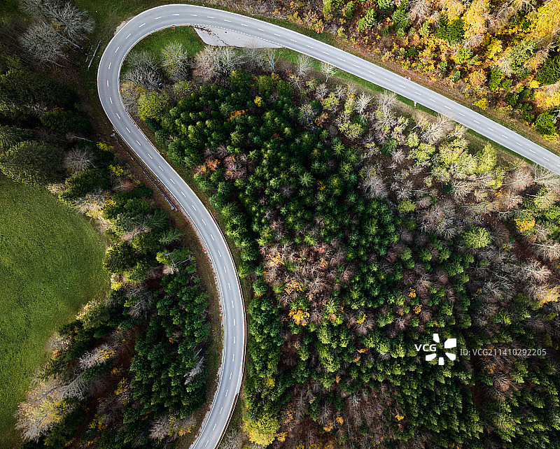 瑞士沃州森林树木中的道路航拍图片素材
