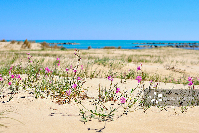意大利阿布鲁佐晴空下的海景图片素材