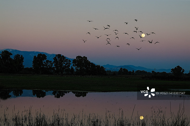 月球的视角图片素材