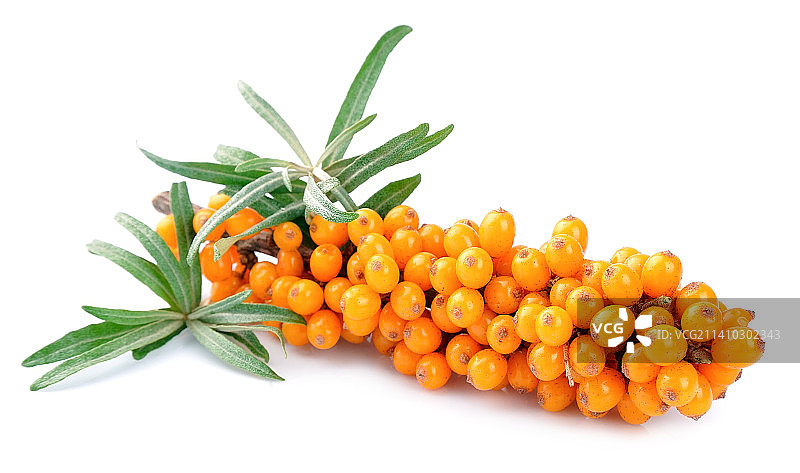 橙色水果特写，摩尔多瓦图片素材