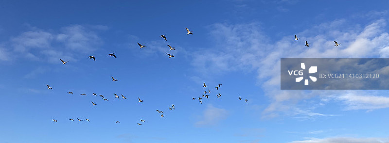 有人知道我们要去哪里吗？图片素材