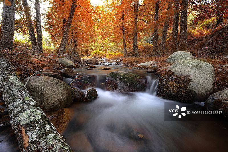 阿尔及利亚斯基克达秋季森林瀑布景色图片素材