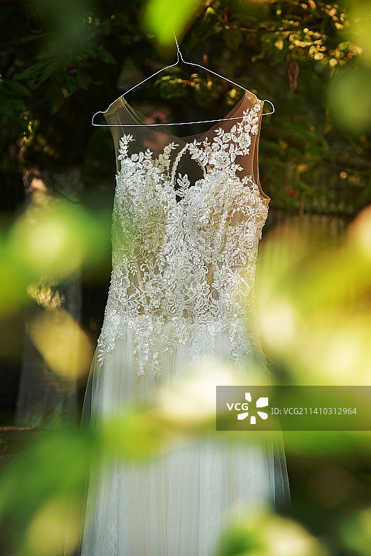 挂在树上的白色婚纱图片素材