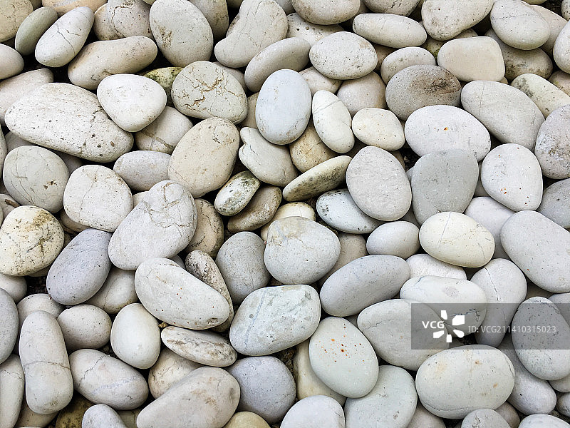 鸡蛋特写图片素材