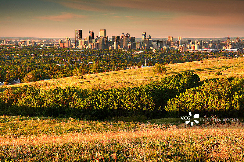 加拿大艾伯塔省卡尔加里日出时分的田野风光图片素材