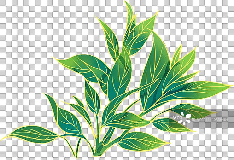 国风茶叶绿叶图片素材