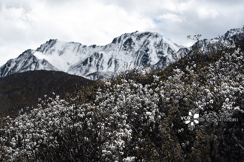 横断山脉图片素材