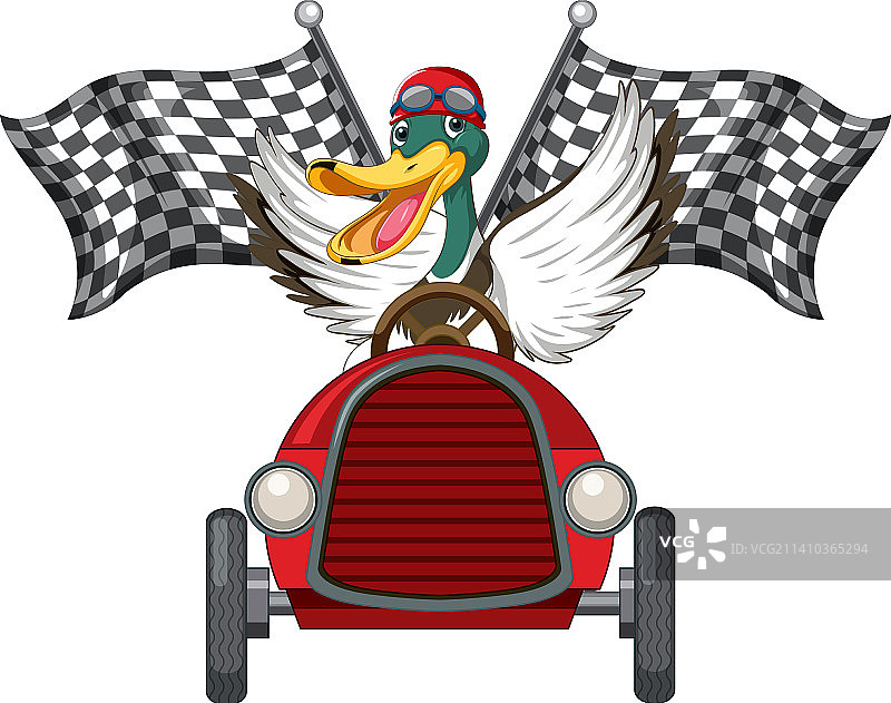 鸭子驾驶赛车参加肥皂盒德比图片素材