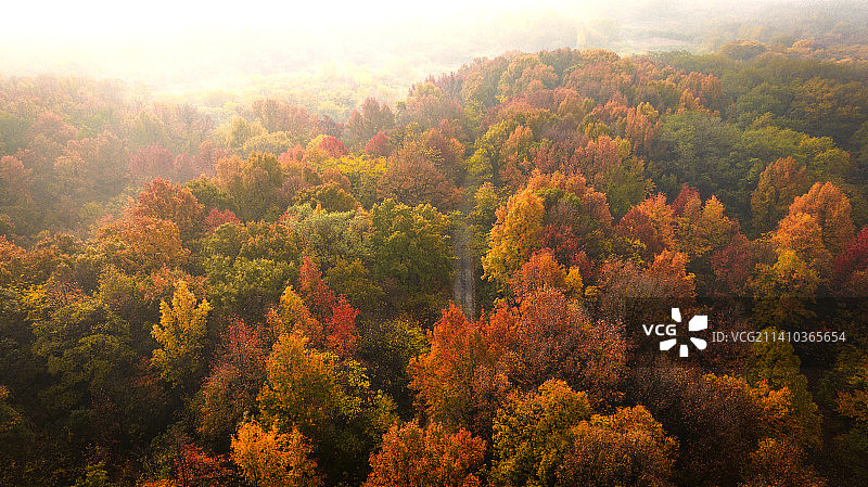 秋天的山林图片素材