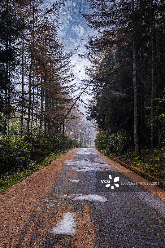 重庆巫山梨子坪秋色图片素材