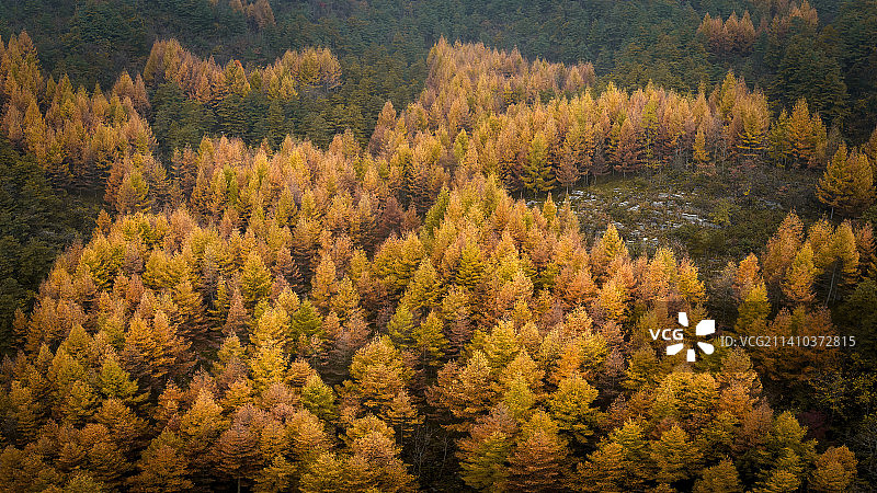 重庆巫山梨子坪秋色图片素材