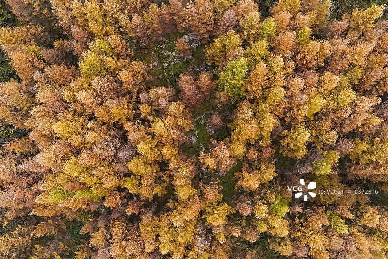 重庆巫山梨子坪秋色图片素材