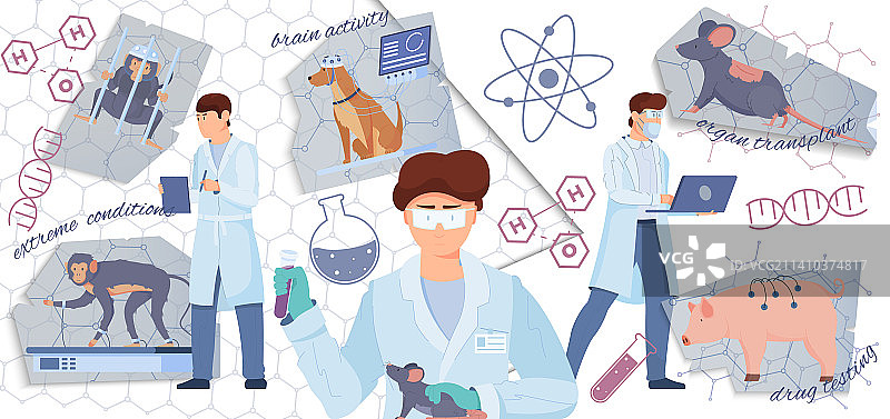 动物实验室实验拼贴画图片素材