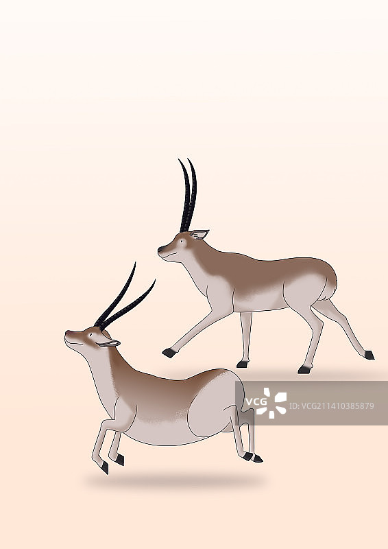 中国地理环境青藏高原藏羚羊保护动物世界卡通插画图片素材