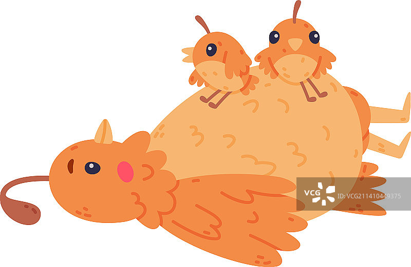 带羽冠羽毛的鹌鹑图片素材