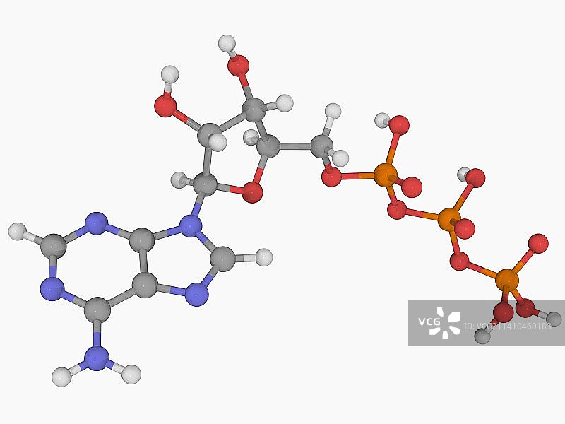 三磷酸腺苷分子图片素材
