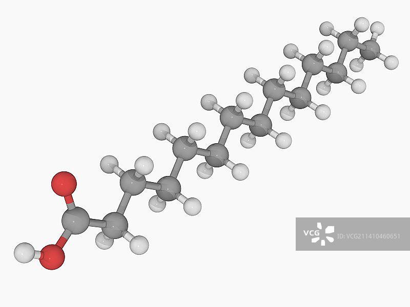 肉豆蔻酸分子图片素材