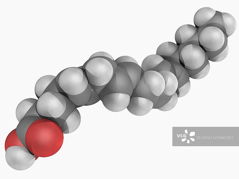 花生四烯酸分子图片素材