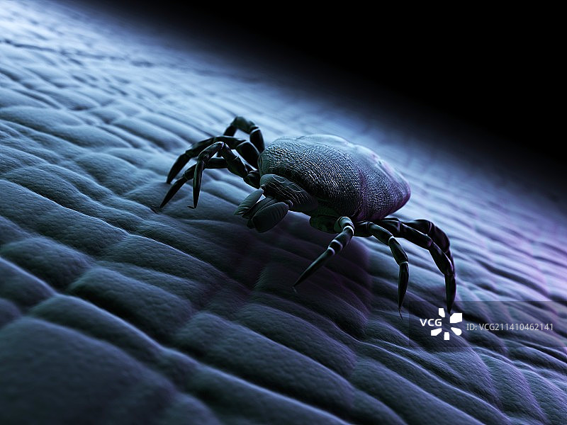 勾号艺术作品图片素材