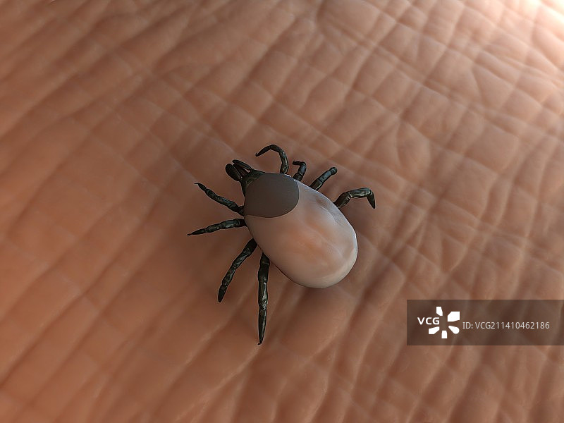 勾号艺术作品图片素材