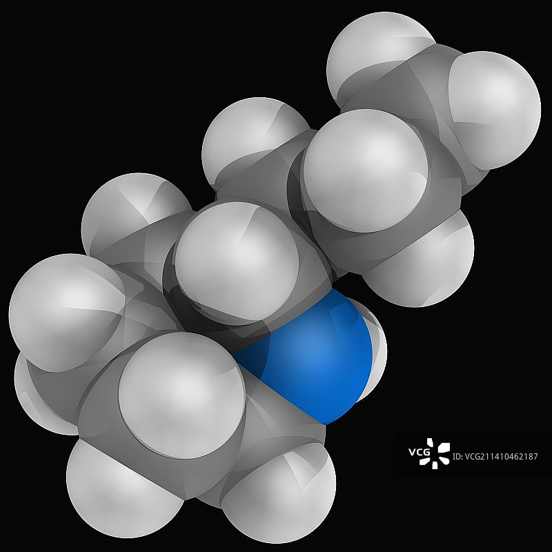 毒芹分子图片素材