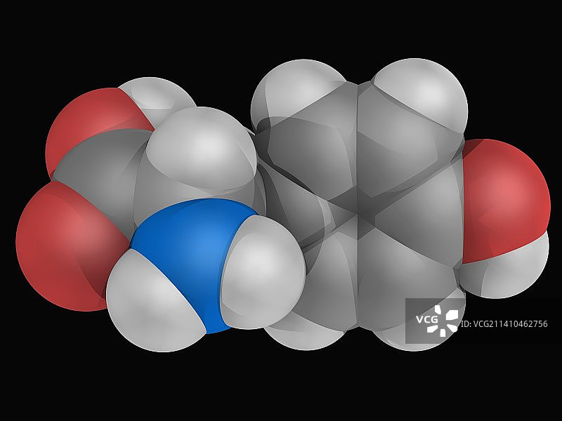酪氨酸分子图片素材