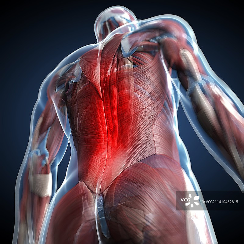 背痛，概念性艺术作品图片素材