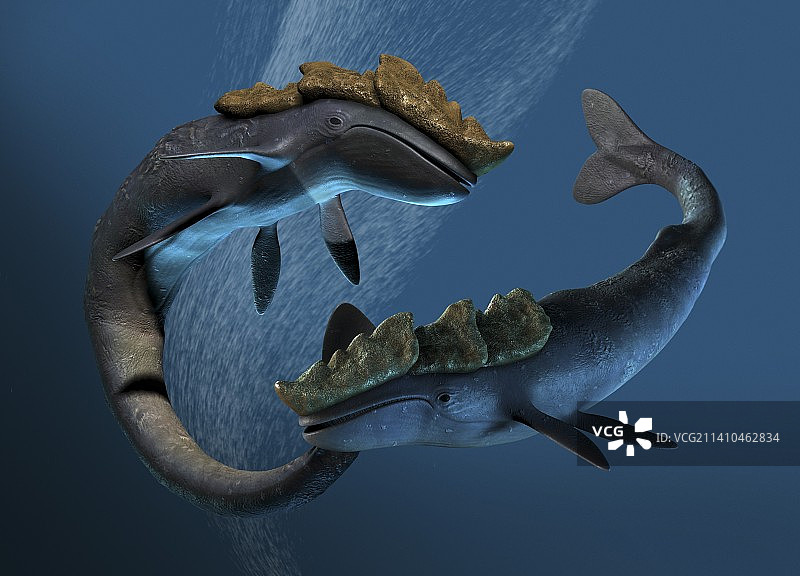 利维坦海怪艺术作品图片素材