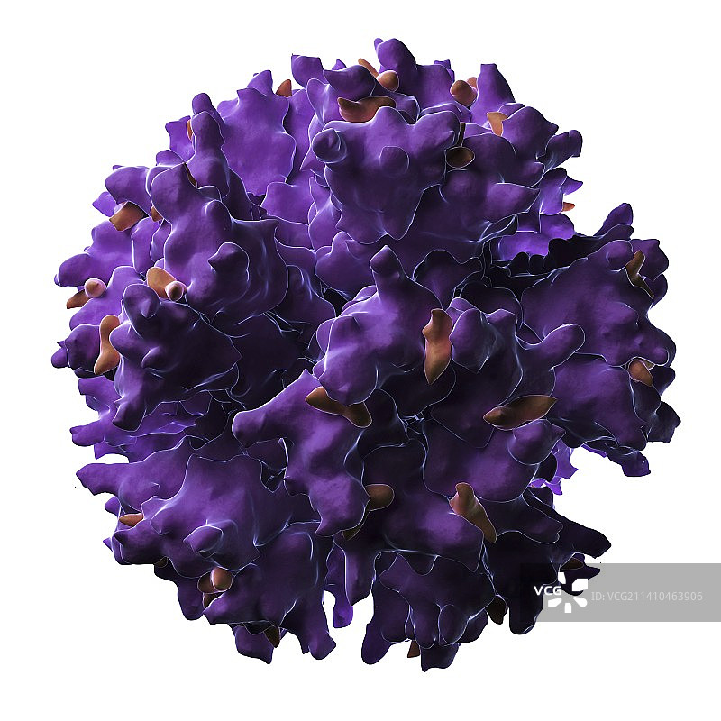 腺病毒颗粒图片素材