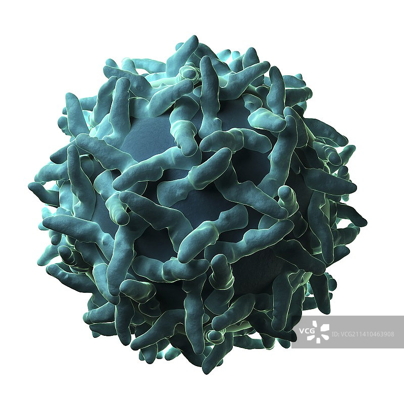 黄热病病毒颗粒图片素材